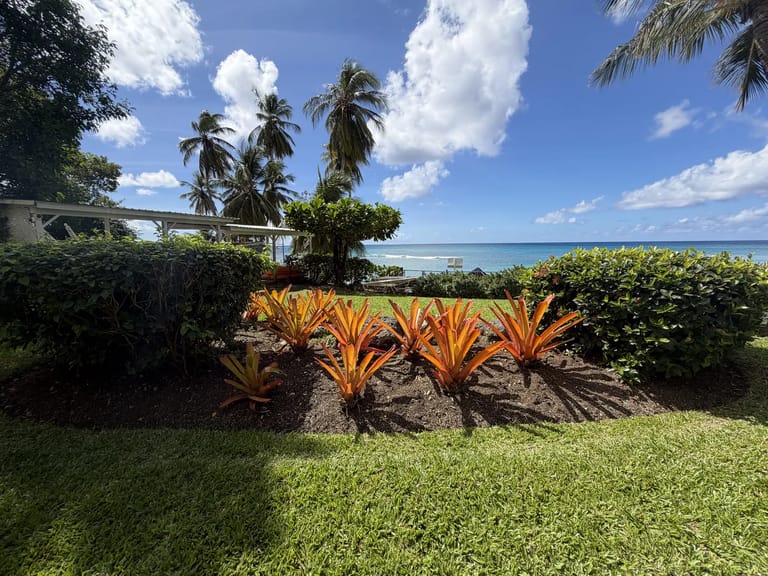 Tropical gardens at Saint Peter's Bay resort